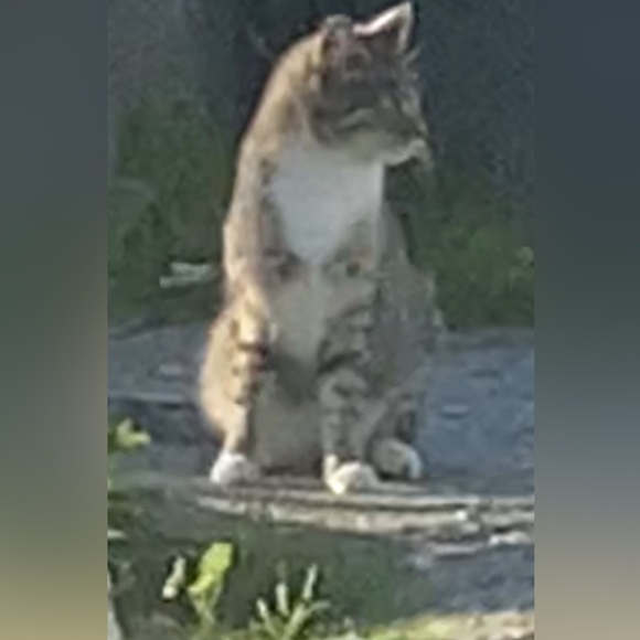 💕TRADE💕 - Picture 5 of 13